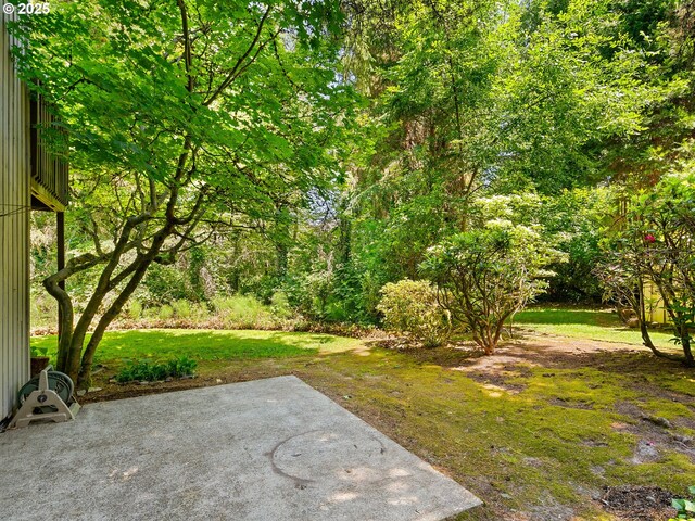 7116 SW Murray Blvd, Beaverton, OR 97008 - view of grassy yard featuring a patio