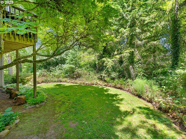 7116 SW Murray Blvd, Beaverton, OR 97008 - view of green lawn