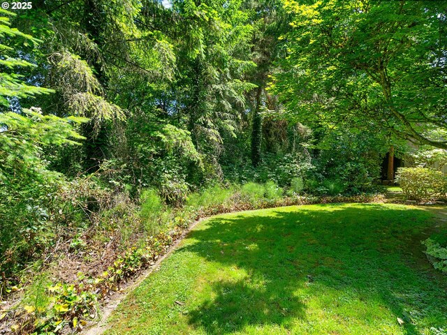 7116 SW Murray Blvd, Beaverton, OR 97008 - view of grassy yard with a view of trees