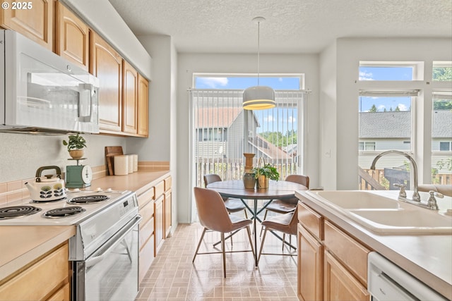 2539 NW 167th Ave, Beaverton, OR 97006 - kitchen with white appliances, light brown cabinets, healthy amount of natural light, a sink, and a textured ceiling