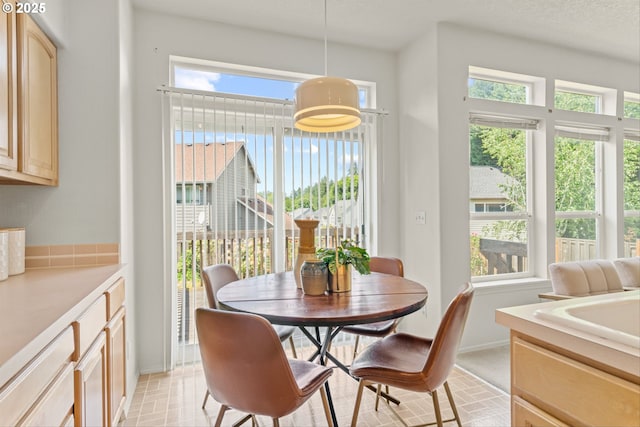 2539 NW 167th Ave, Beaverton, OR 97006 - dining space featuring plenty of natural light and baseboards