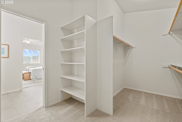 2539 NW 167th Ave, Beaverton, OR 97006 - spacious closet with carpet