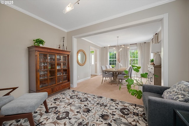 living room with carpet floors, crown molding, and baseboards