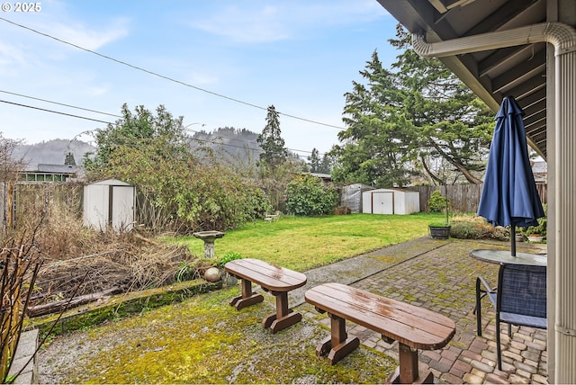 view of yard featuring a fenced backyard, a storage unit, an outbuilding, and a patio