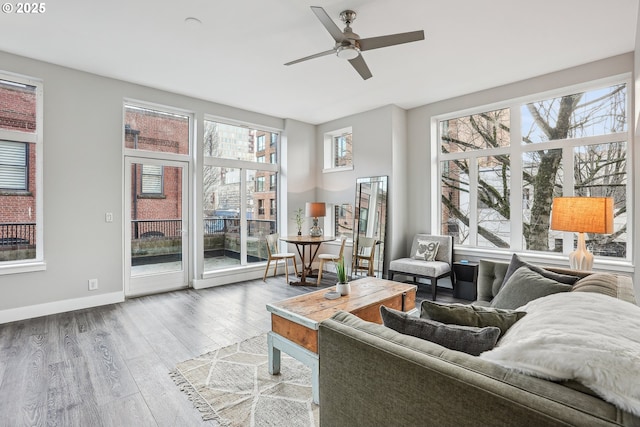 living room featuring hardwood / wood-style flooring and ceiling fan