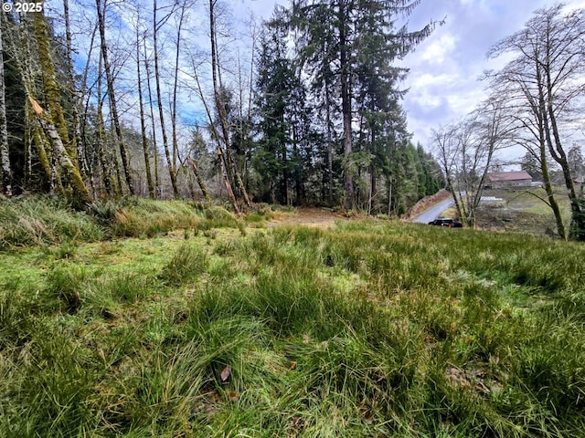 92303 Claremont Rd, Astoria OR, 97103 land for sale