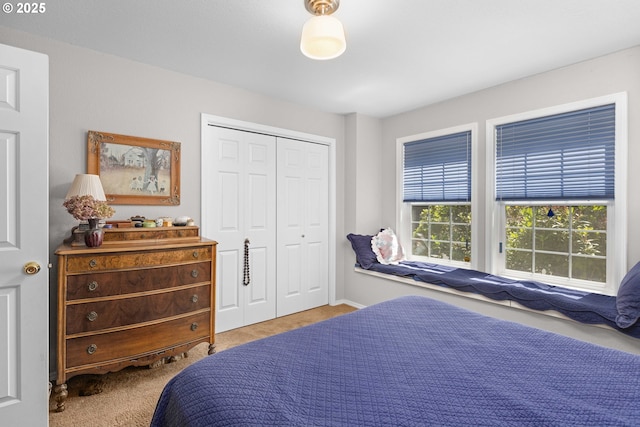 161 Single Pine Ln, Winchester, OR 97495 - bedroom featuring carpet and a closet
