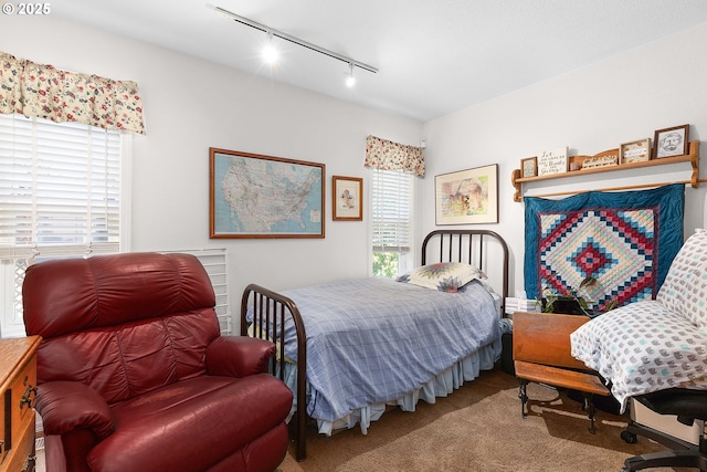 161 Single Pine Ln, Winchester, OR 97495 - bedroom featuring track lighting and carpet flooring