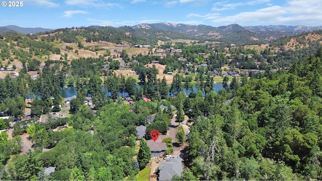 161 Single Pine Ln, Winchester, OR 97495 - aerial overview of property's location featuring a water and mountain view