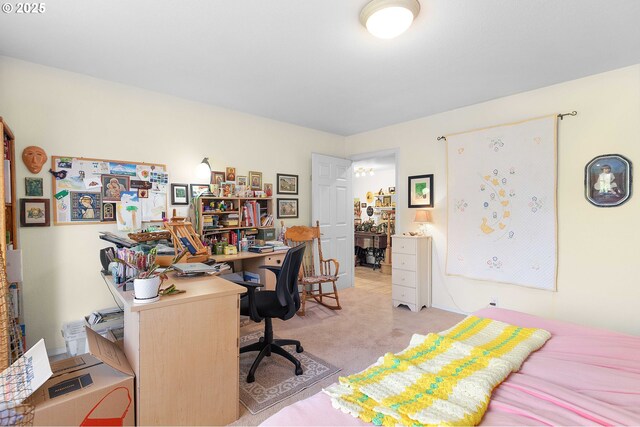 161 Single Pine Ln, Winchester, OR 97495 - office with light colored carpet
