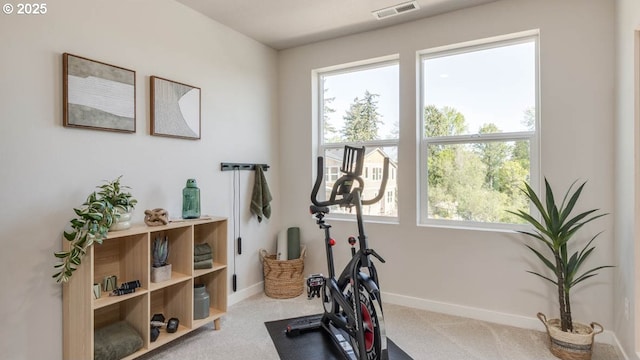 6558 SE Nasha St, Hillsboro, OR 97123 - exercise area with carpet floors and baseboards