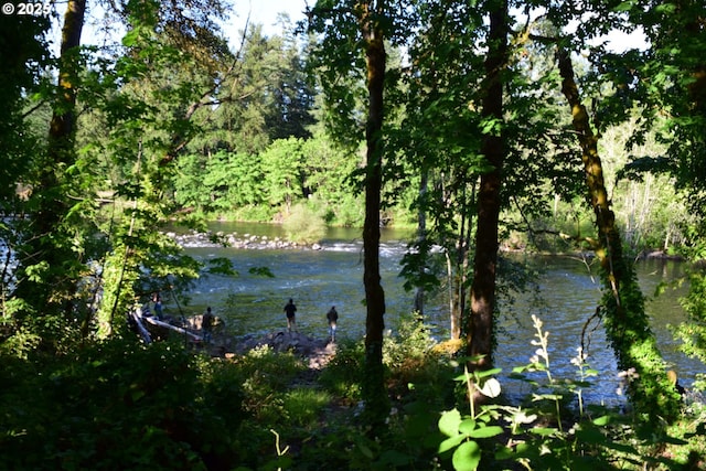 44561 Mckenzie Hwy, Leaburg, OR 97489