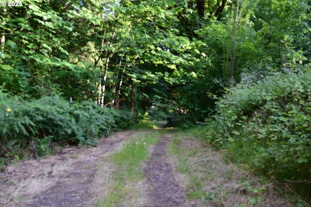 44561 Mckenzie Hwy, Leaburg, OR 97489