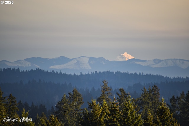12160 SW Royal Ct Unit D, Portland, OR 97224 - view of mountain background with a heavily wooded area