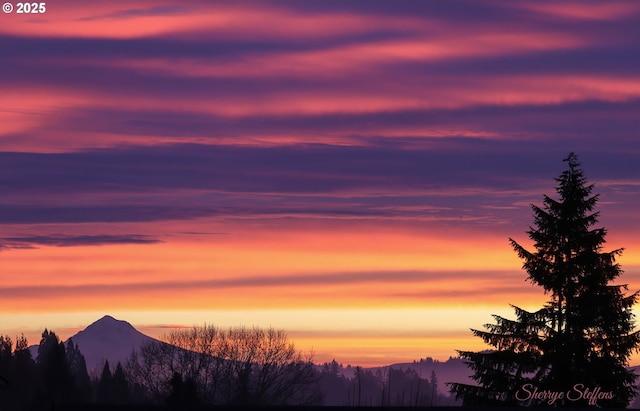 12160 SW Royal Ct Unit D, Portland, OR 97224 - view of mountain background