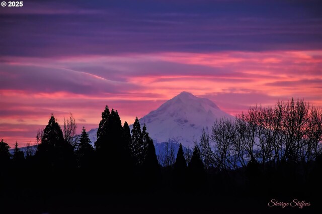 12160 SW Royal Ct Unit D, Portland, OR 97224 - mountain view