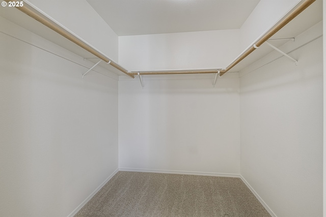 7197 SW Sagert St Unit 103, Tualatin, OR 97062 - walk in closet with carpet flooring