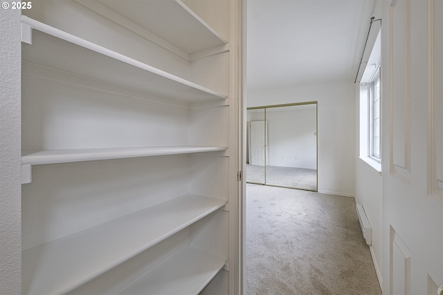 7197 SW Sagert St Unit 103, Tualatin, OR 97062 - spacious closet featuring carpet
