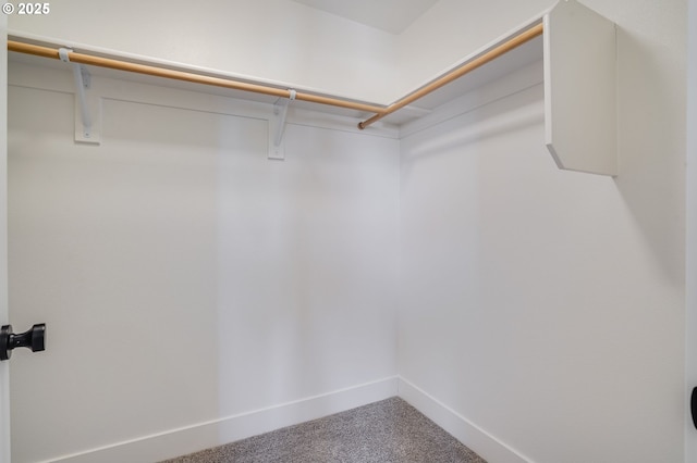 walk in closet featuring carpet floors