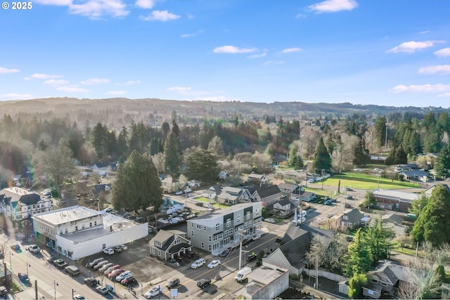 aerial view of residential area with a heavily wooded area