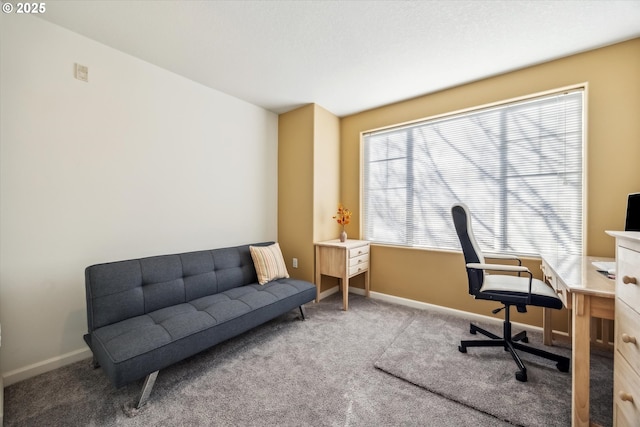 office area featuring carpet flooring