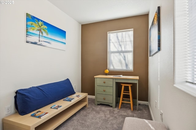 sitting room with carpet floors