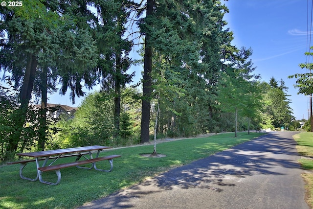 view of home's community with a lawn