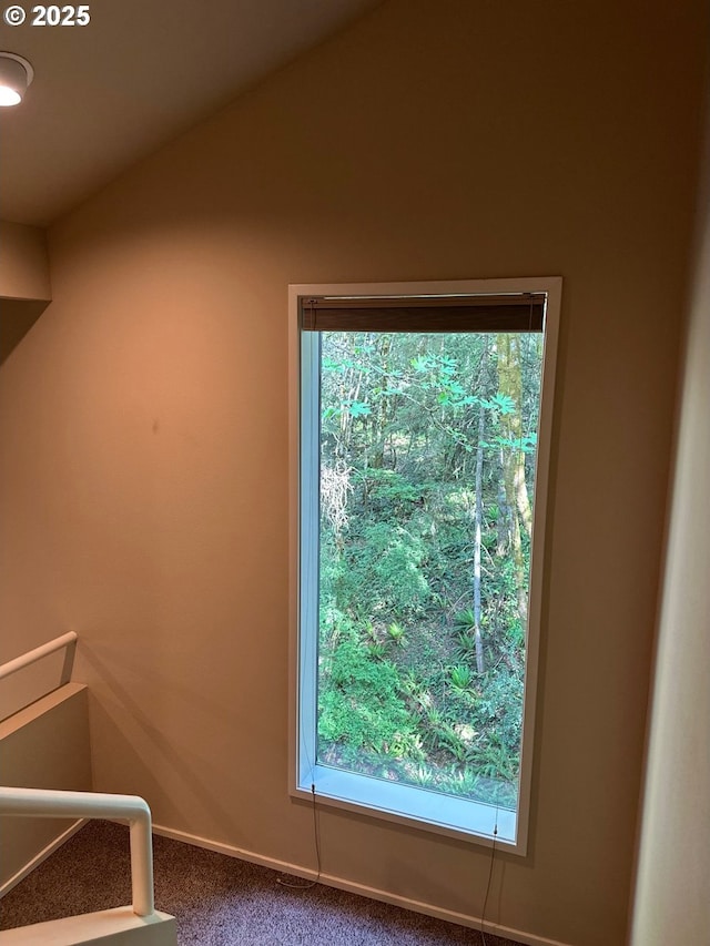 room details featuring baseboards and carpet flooring