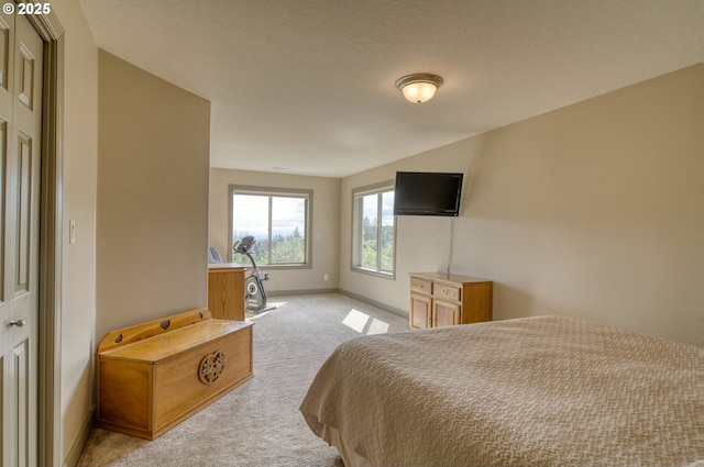 bedroom with baseboards and light carpet