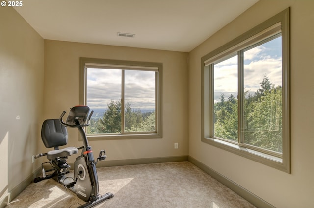 exercise area featuring visible vents, baseboards, and carpet floors