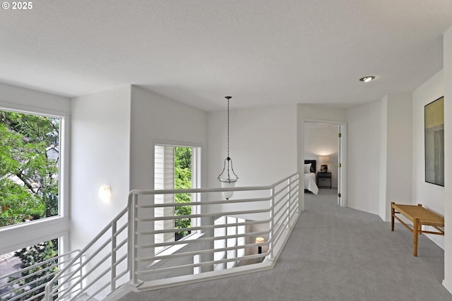 15017 SW Telluride Ter, Beaverton, OR 97007 - hall with an upstairs landing, carpet, healthy amount of natural light, and a textured ceiling