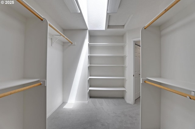 15017 SW Telluride Ter, Beaverton, OR 97007 - walk in closet with carpet flooring