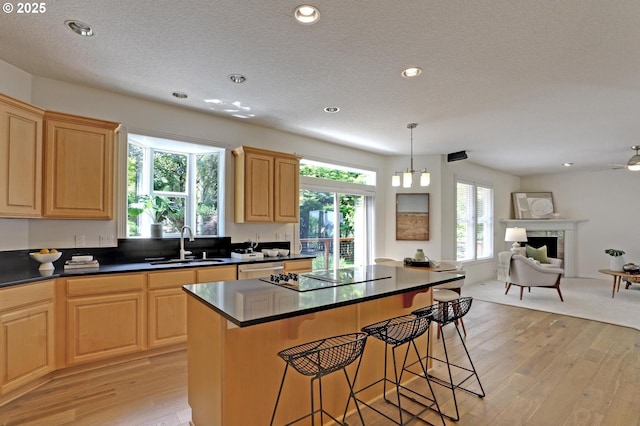 15017 SW Telluride Ter, Beaverton, OR 97007 - kitchen featuring black electric cooktop, open floor plan, dark countertops, light wood-type flooring, and recessed lighting