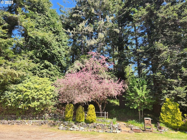 28213 Hunter Creek Hts, Gold Beach, OR 97444 - view of yard