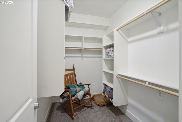 1522 NE Sunrise Ln, Hillsboro, OR 97124 - spacious closet featuring dark carpet
