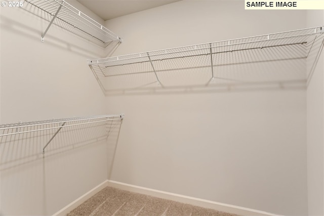 spacious closet with carpet flooring