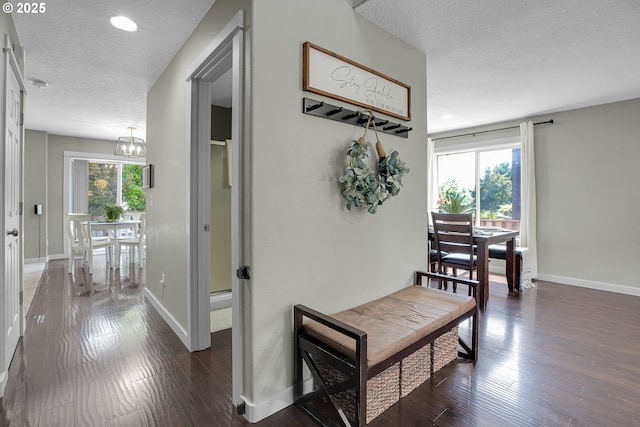 2805 Knox Ridge Ter, Forest Grove, OR 97116 - hall featuring a textured ceiling, healthy amount of natural light, dark wood finished floors, a chandelier, and recessed lighting