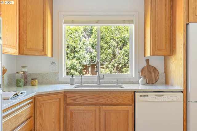 kitchen featuring white appliances, a sink, light countertops, and healthy amount of natural light