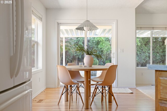 dining room with light wood-style floors, healthy amount of natural light, and baseboards