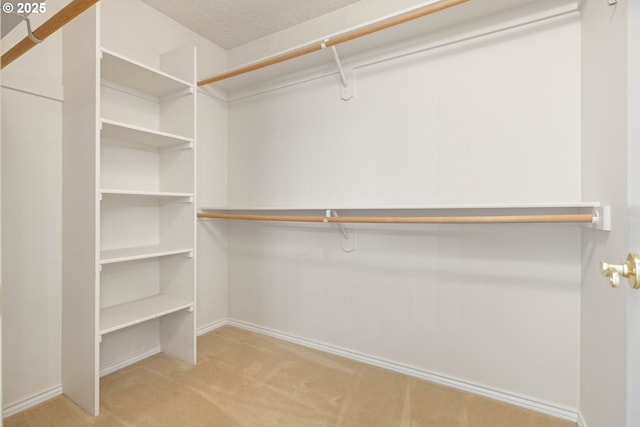 walk in closet with carpet flooring