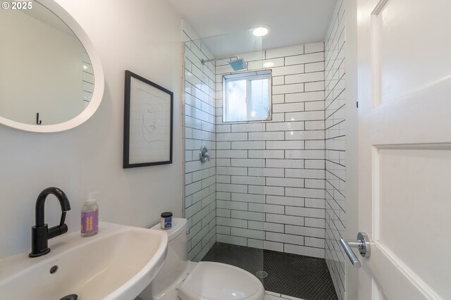 full bathroom with a sink, a shower stall, and toilet