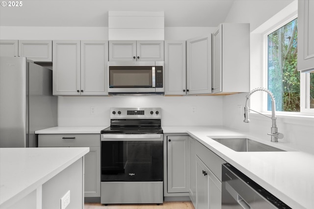 kitchen with stainless steel appliances, sink, and gray cabinetry