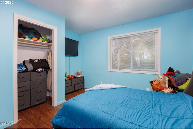 bedroom featuring dark hardwood / wood-style floors and a closet