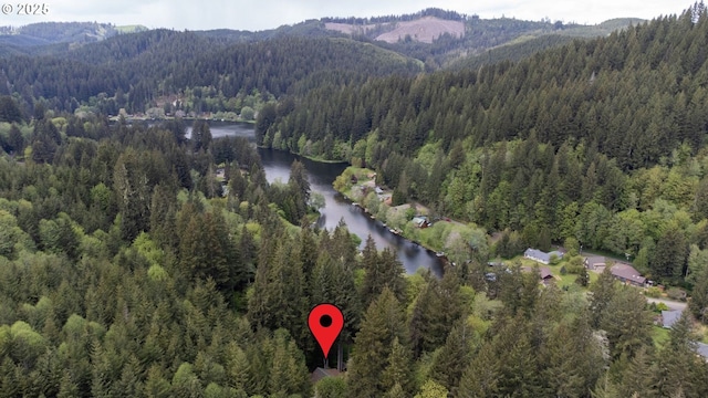 10256 Ridgeview Ter, Birkenfeld, OR 97016 - view of property location featuring a forest and a water and mountain view