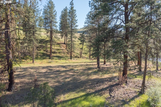 0 N Fork Rd, Monument, OR 97864
