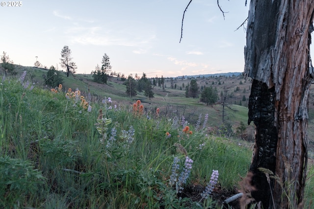0 N Fork Rd, Monument, OR 97864