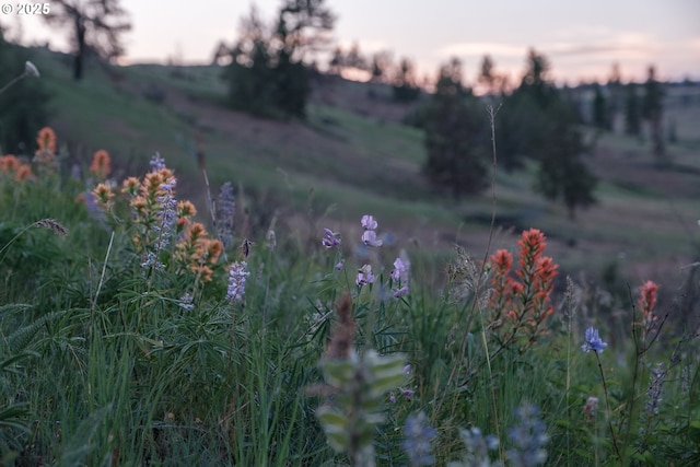 0 N Fork Rd, Monument, OR 97864