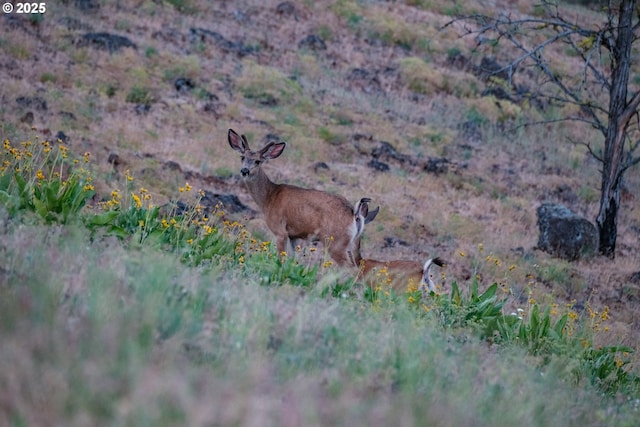 0 N Fork Rd, Monument, OR 97864