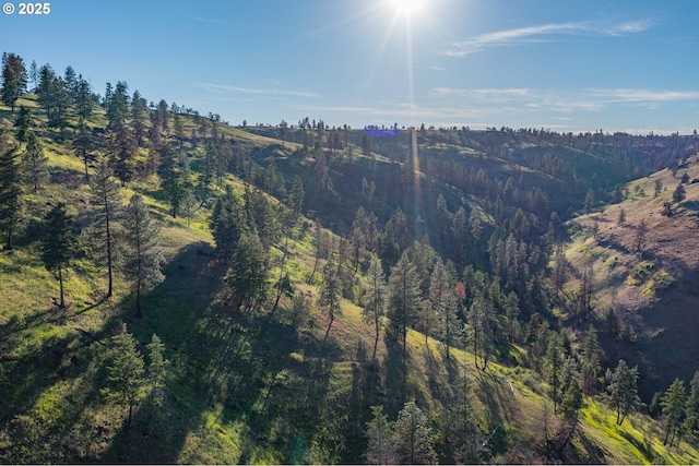0 N Fork Rd, Monument, OR 97864