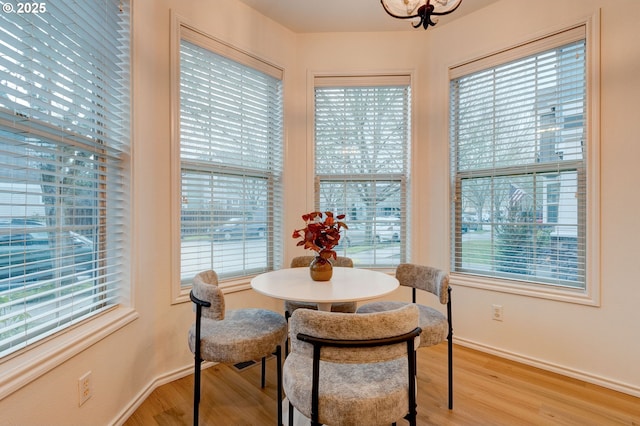 dining area with a healthy amount of sunlight and light hardwood / wood-style flooring